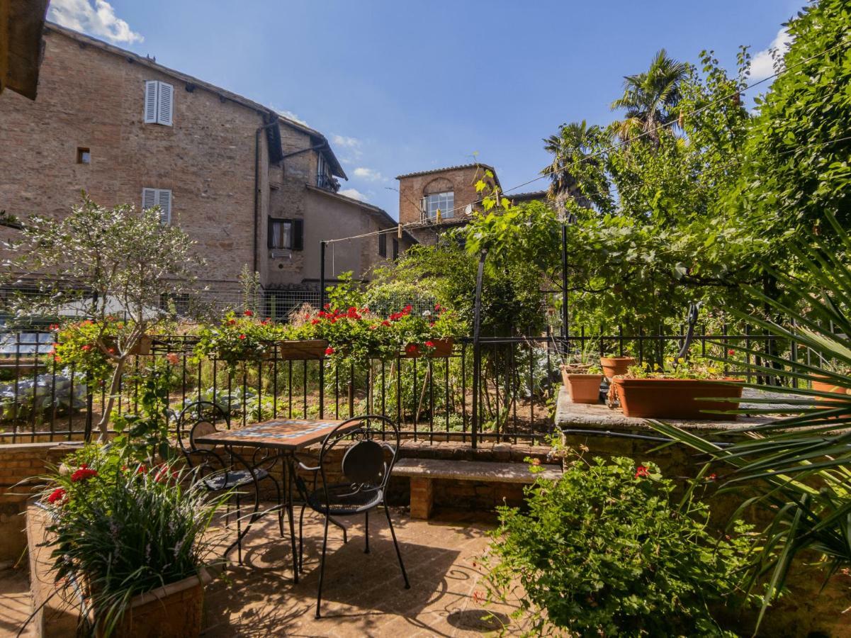 Comfort Single Room Private Garden Separate building