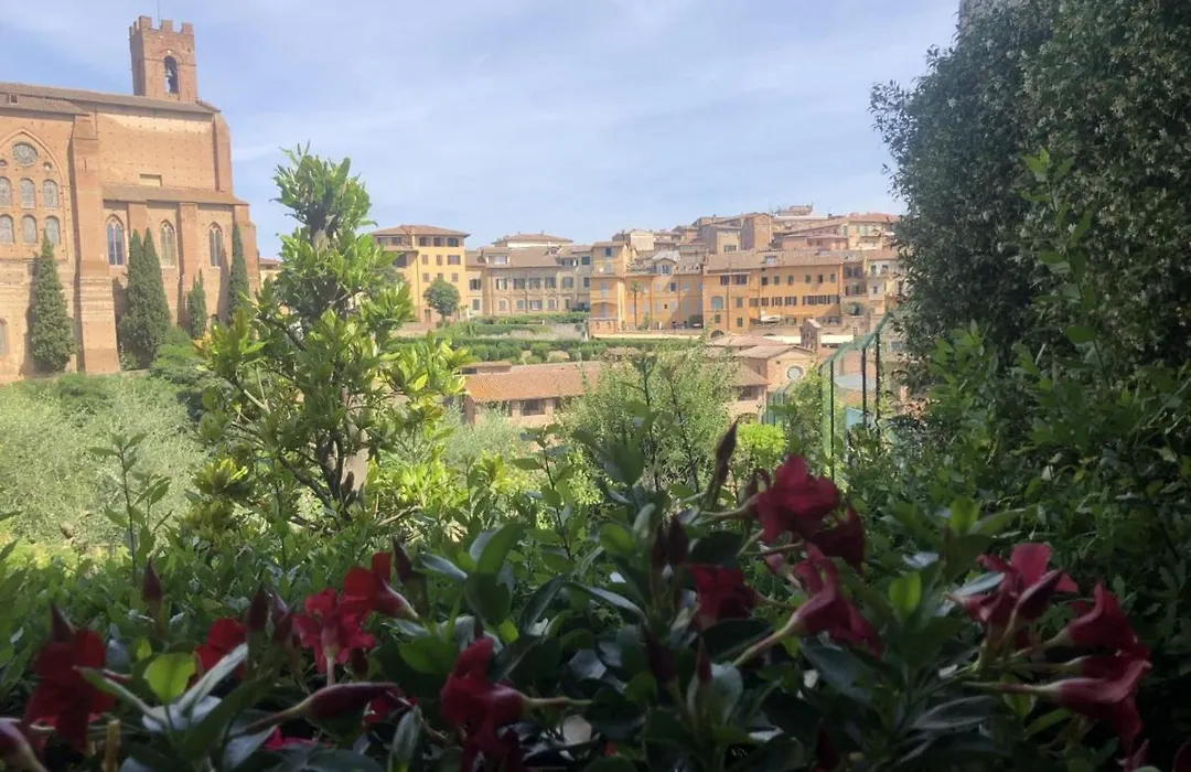 Casa Sophia-1