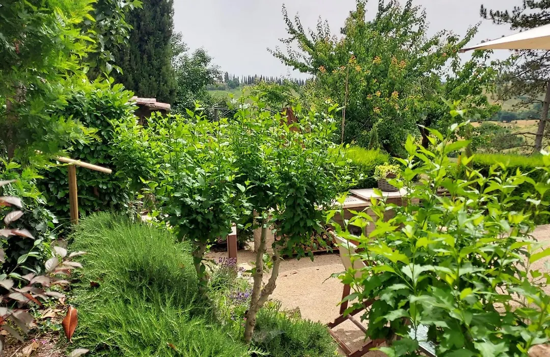 Agriturismo Il Colle-1
