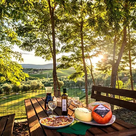 Agriturismo Il Sambuco-3