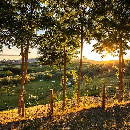 Agriturismo Il Sambuco-2