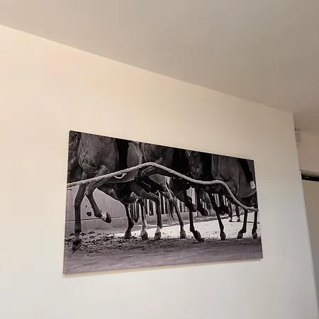 La casa del Palio-3