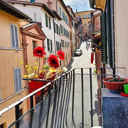 La Campanina-nel cuore di Siena e della contrada-2
