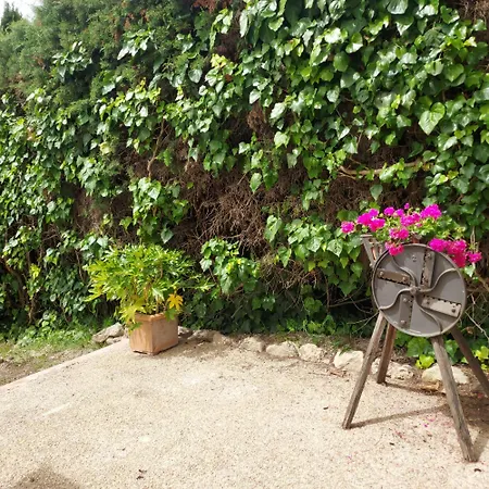 Agriturismo Il Colle-2