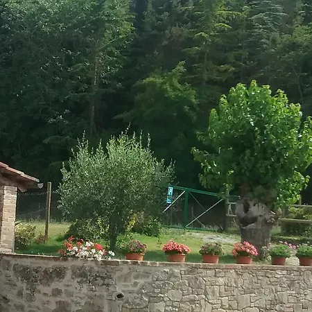Agriturismo Le Piazze-2