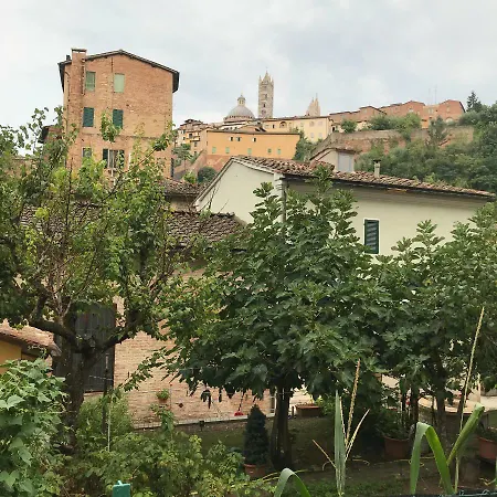 To Dream In Siena-2